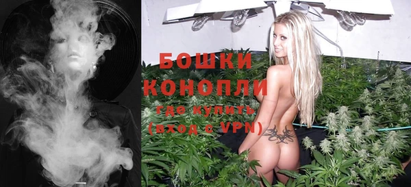 Альфа ПВП Лиски