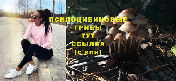 гашик Магадан