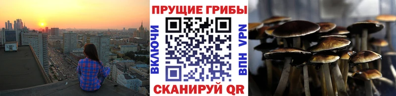 Псилоцибиновые грибы Magic Shrooms  Мураши 